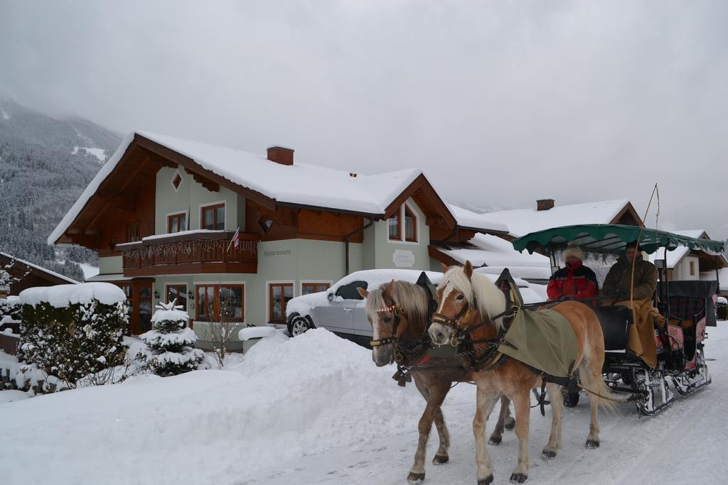 Sandra Apartmán Dorfgastein